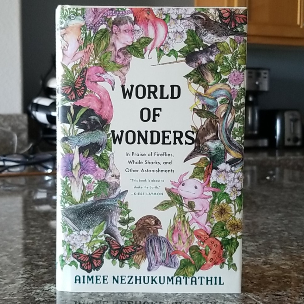 World of Wonders hardback book
